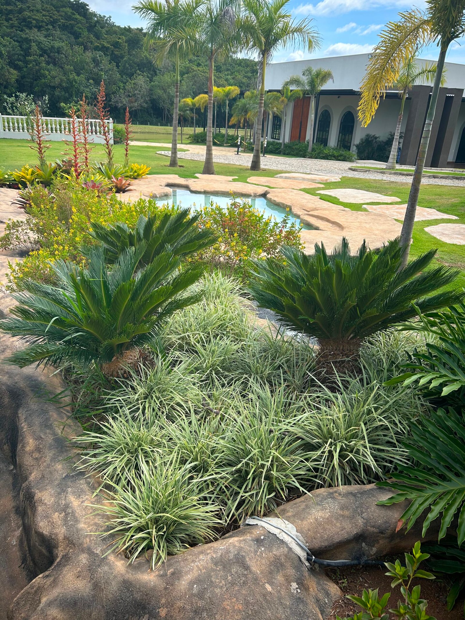 Paisagismo residencial premium