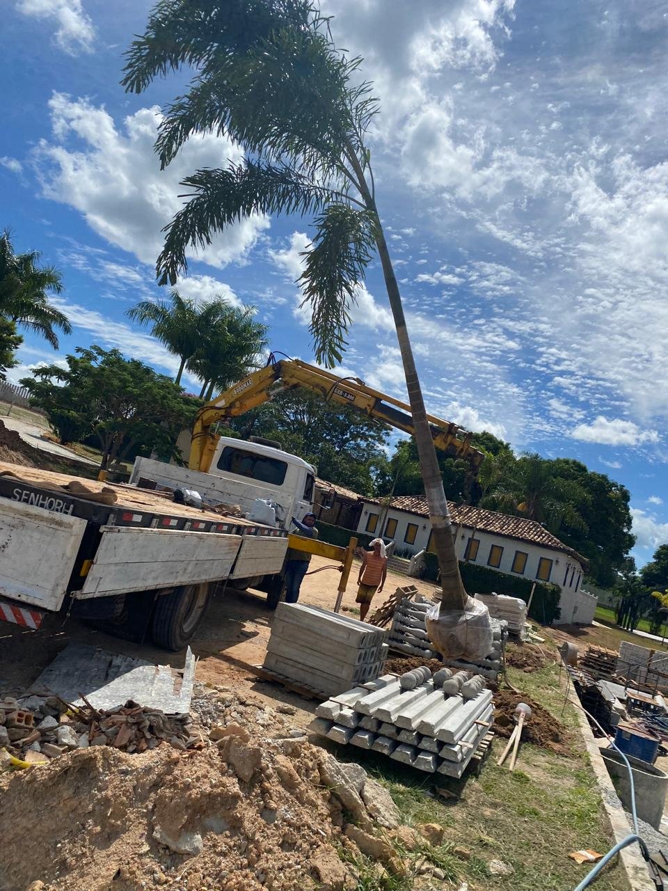 Projeto Viveiro Santa Ana
